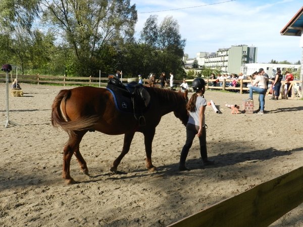Babie Lato 2015